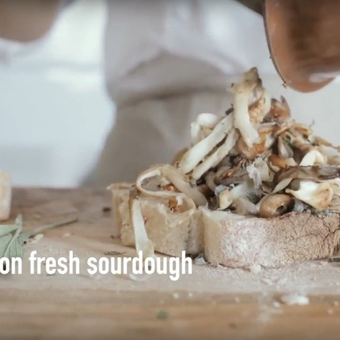 Video: Coffee Mushrooms on Toast