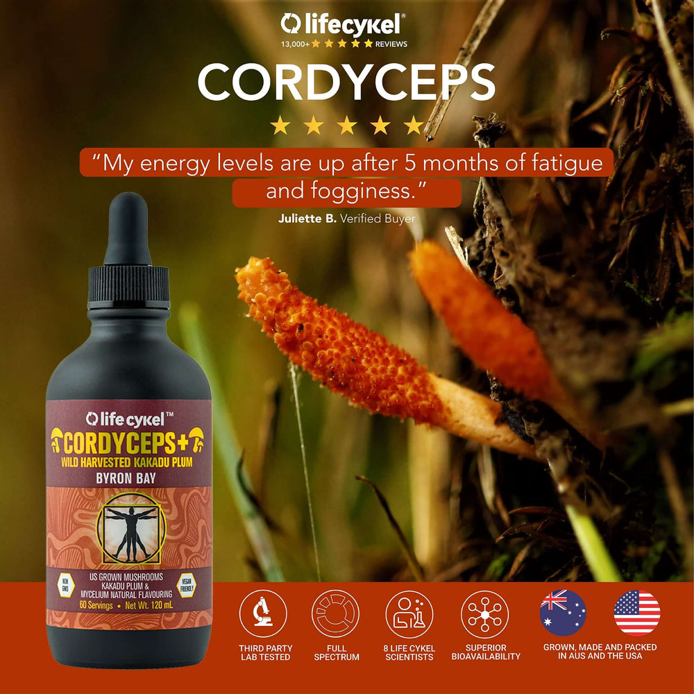 Cordyceps Mushroom Extract