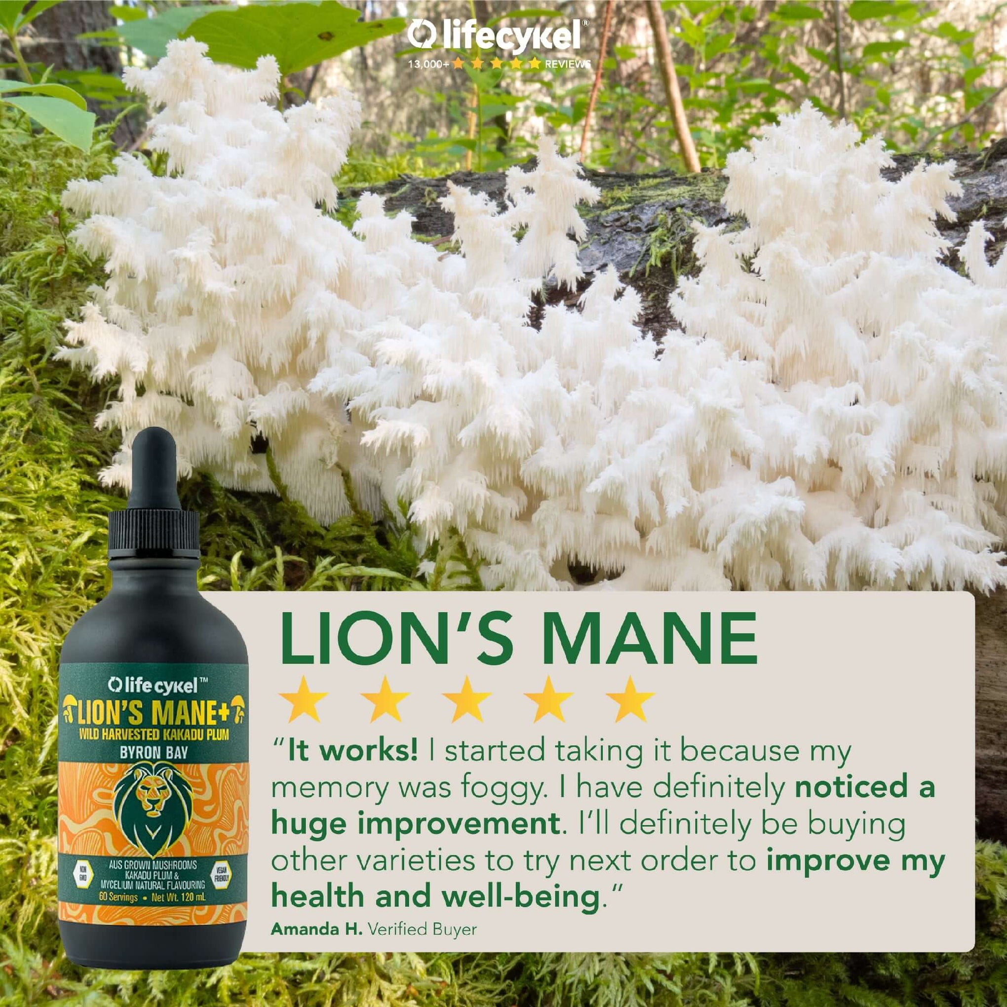 #1 Best UK Lion's Mane Mushroom Extract — Life Cykel UK