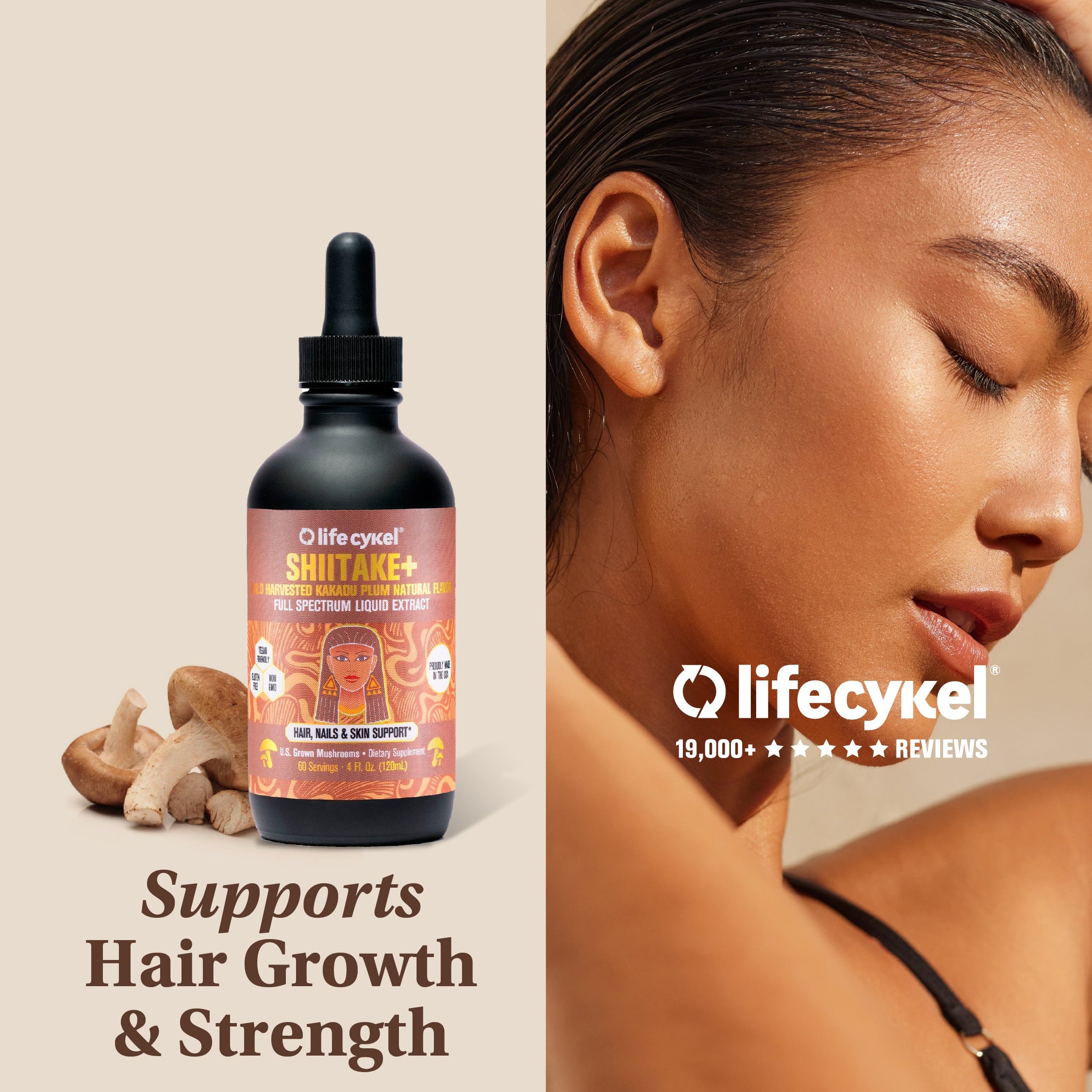 Shiitake Mushroom Extract