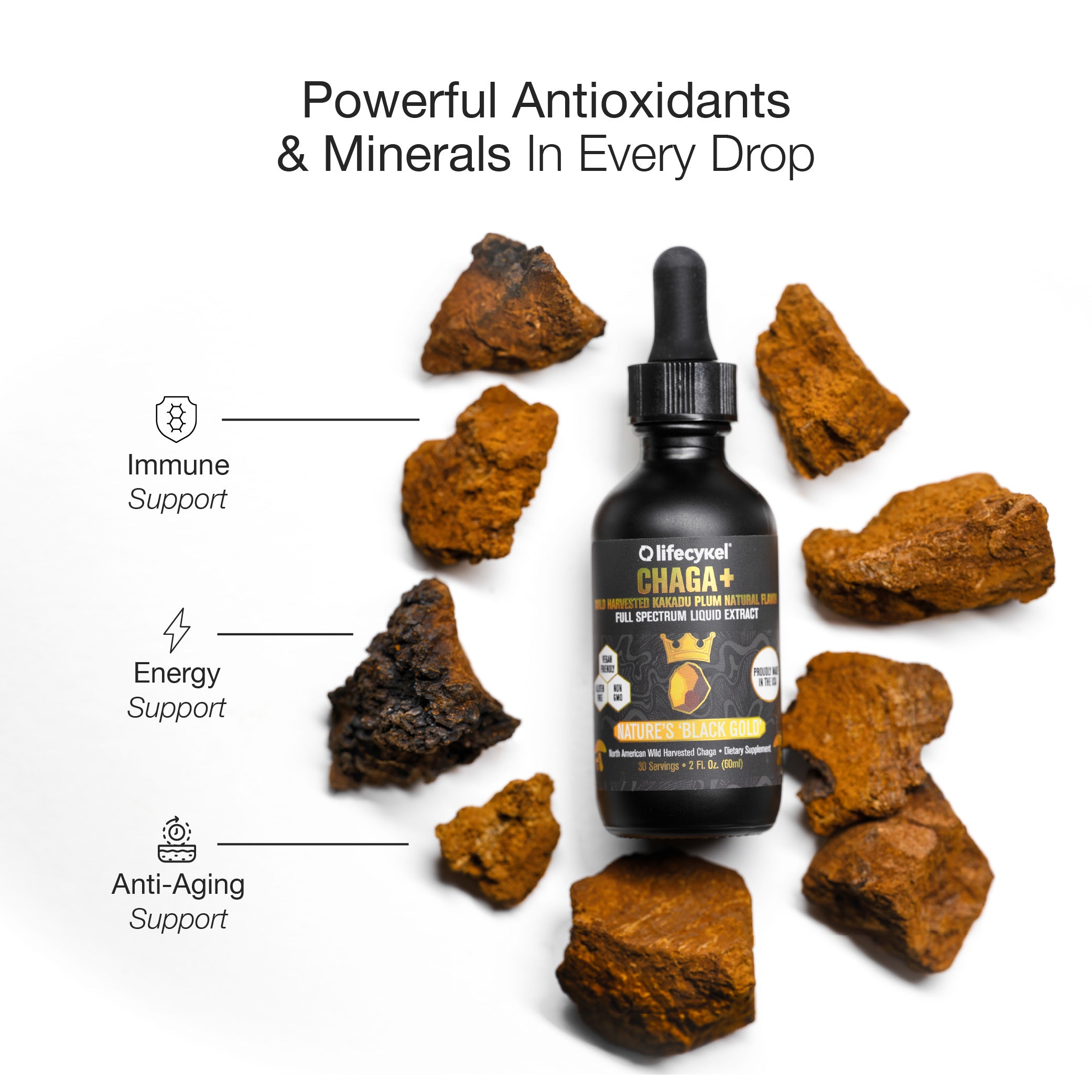 Chaga Mushroom Extract