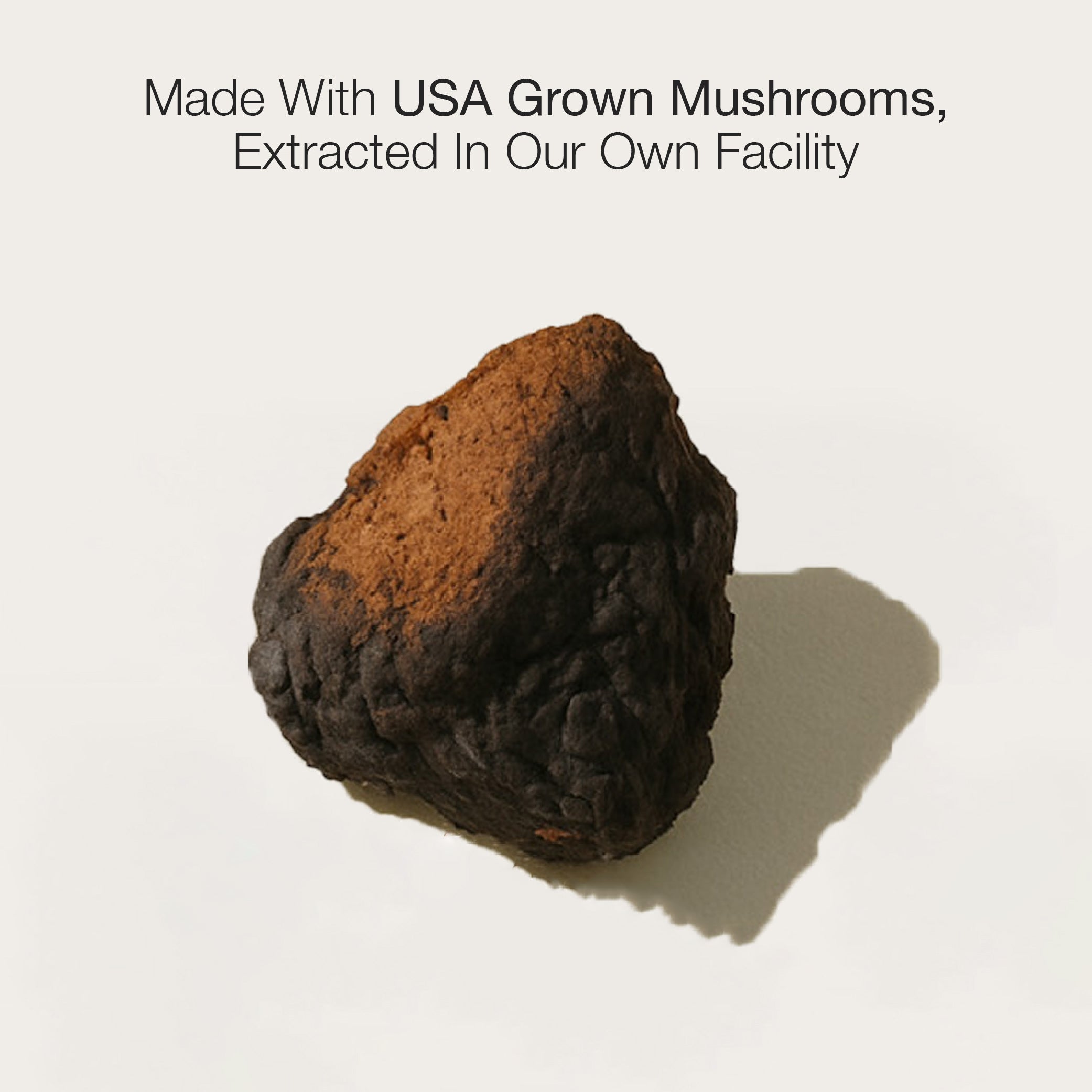 Chaga Mushroom Extract
