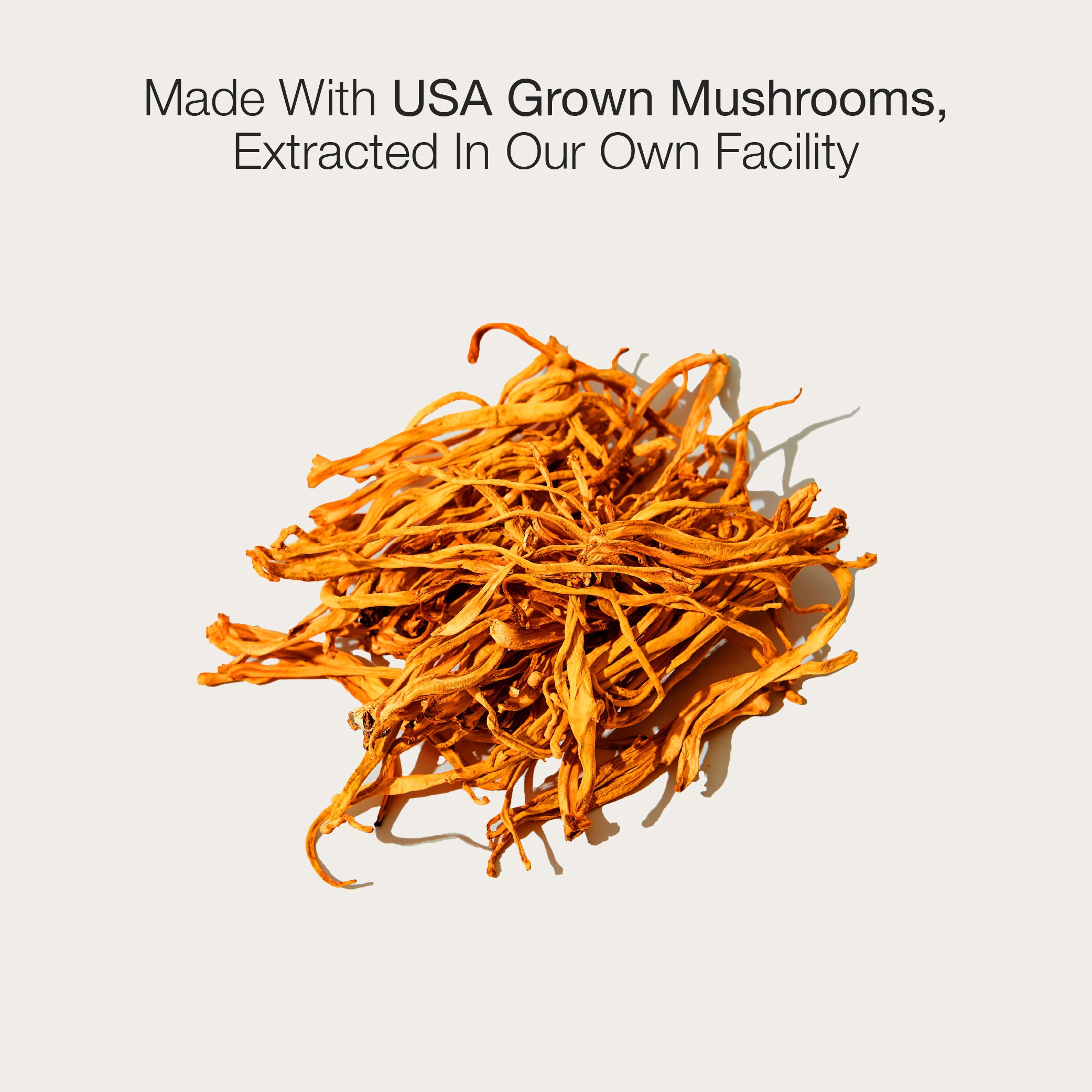 Cordyceps Mushroom Extract