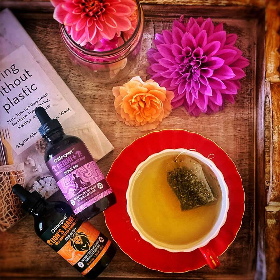 The PM Pack - Lion's Mane & Reishi