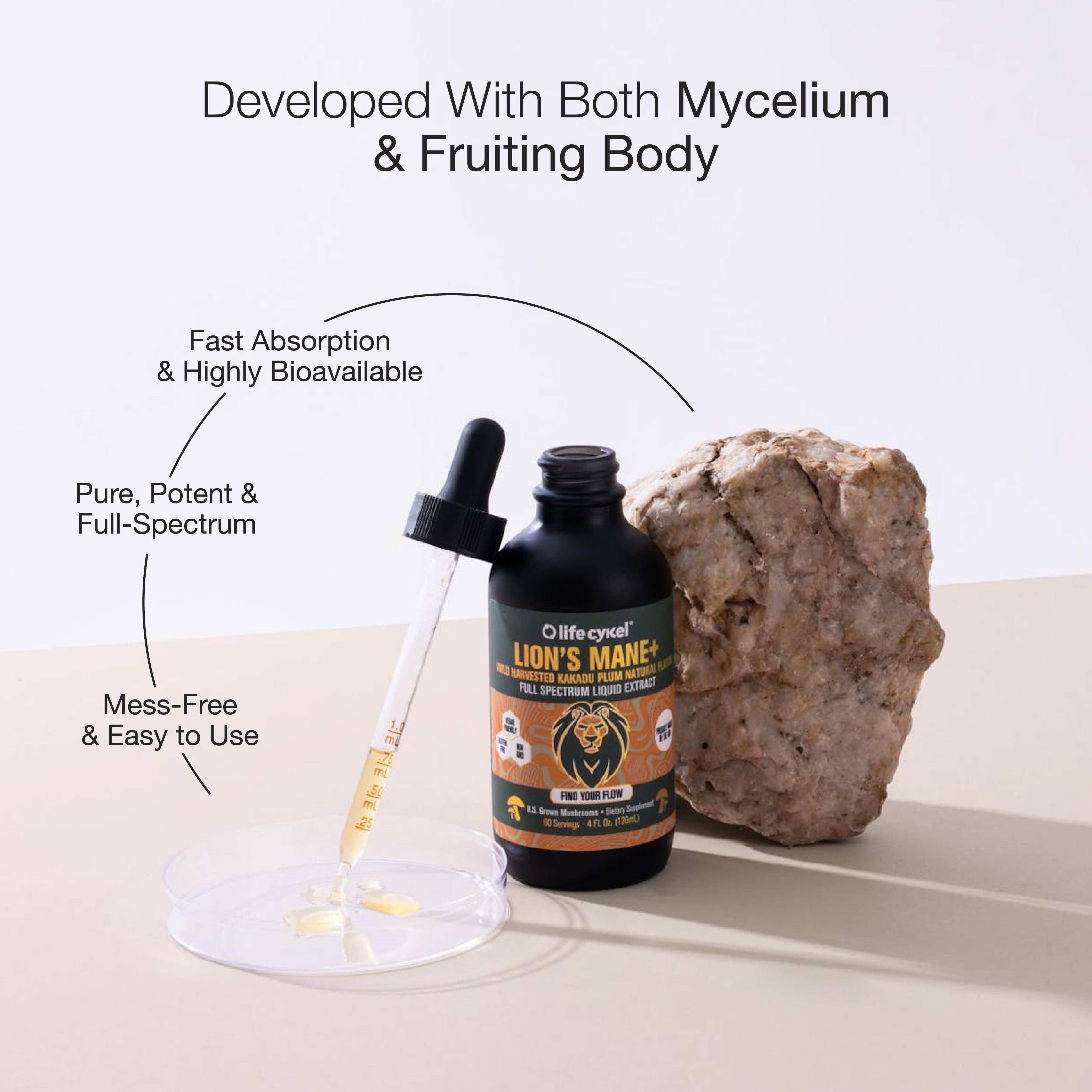Lion's Mane Mushroom Extract