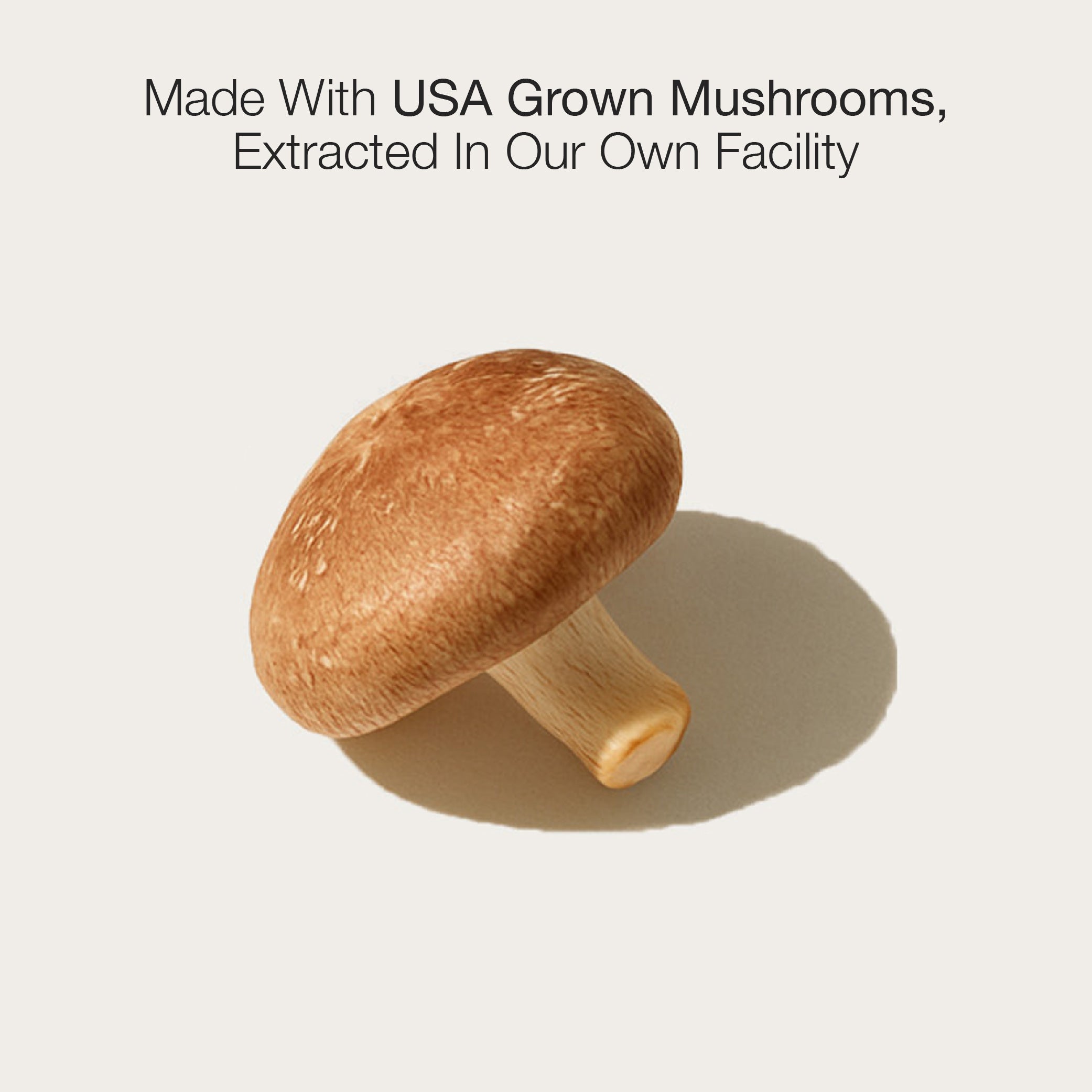 Shiitake Mushroom Extract