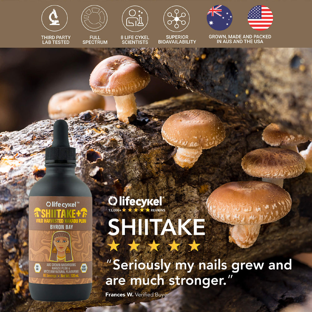 Shiitake Mushroom Extract