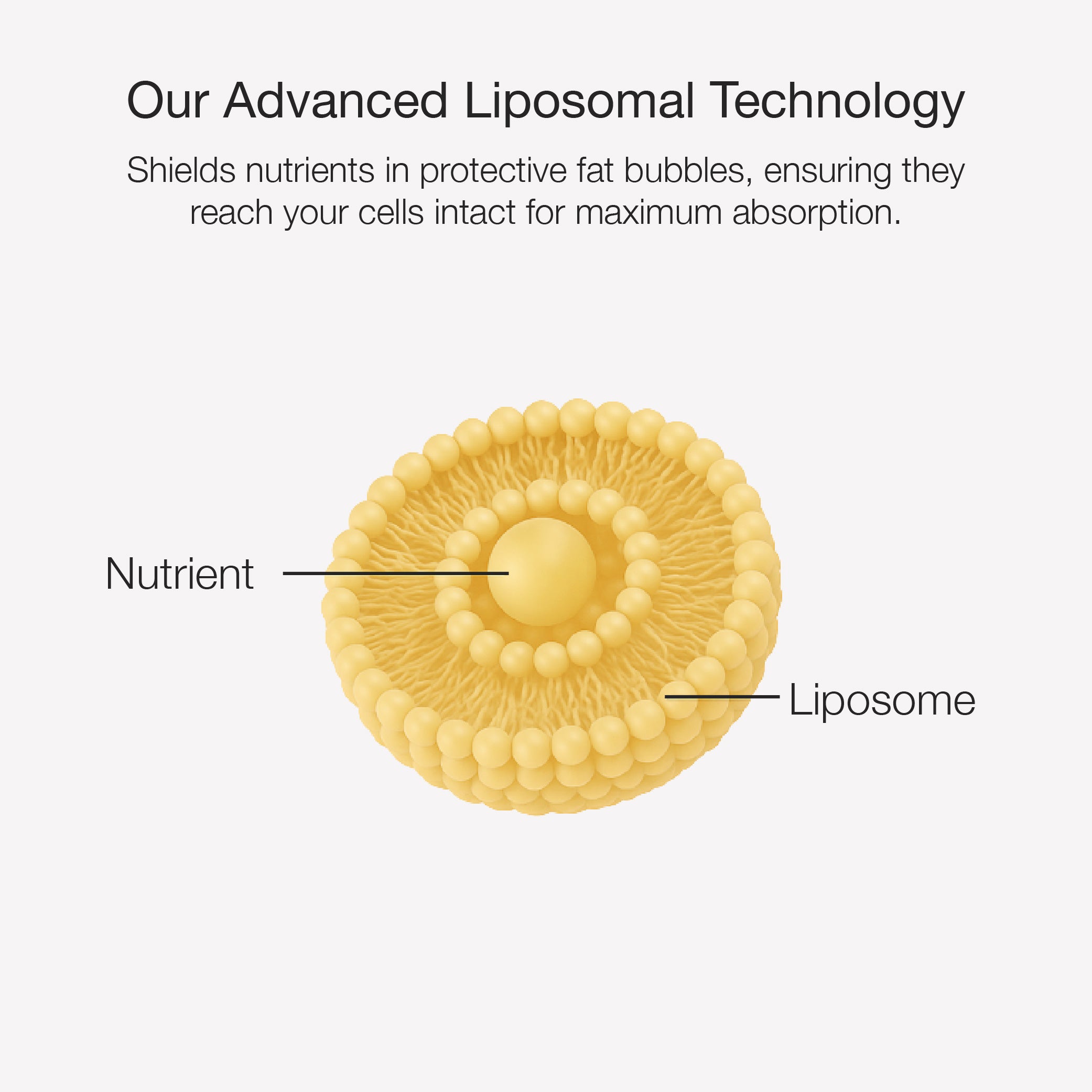 Diagram explaining Lifecykel advanced liposomal technology that protects nutrients for maximum cellular absorption.